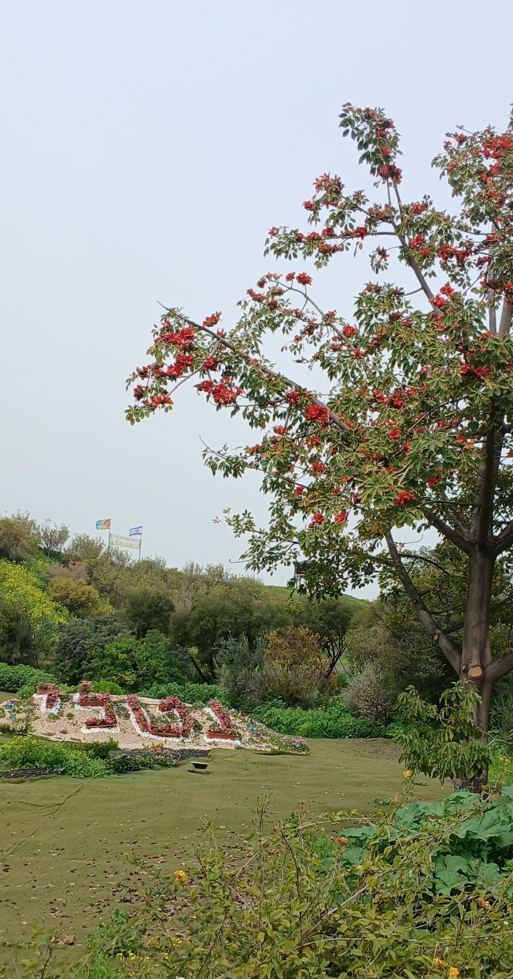 Navnet på en av jentene er skrevet i blomster.